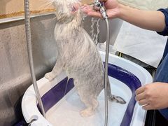 -PETKIT小佩宠物·低压洗护(国顺东路店)