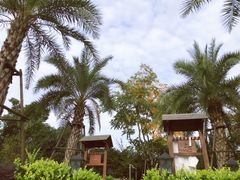 -苏州湾王焰温泉度假酒店