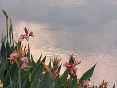 -花亭湖风景名胜区