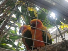 -大连森林动物园