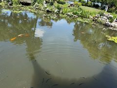 -杭州西湖柳莺里酒店