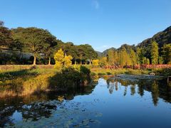 -广州市石门国家森林公园