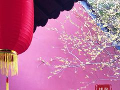 -钱王祠