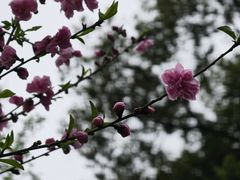-乌山风景区