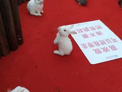 -利群商厦(台东店)