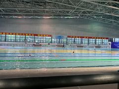 -奥林匹克体育中心游泳馆