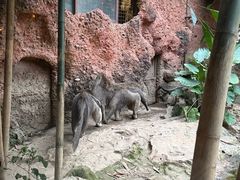 -长鹿旅游休博园