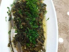 iphone_upload_pic-浦江餐饮·上海菜馆(五四路店)