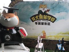 -柴犬高等学院·狗咖·柴犬售卖·宠物训练