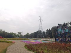 -海上田园