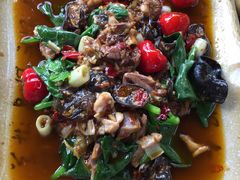 -青城甲(青城山店)