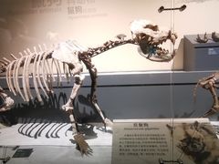 -大庆市博物馆