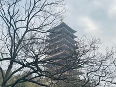 -牛首山文化旅游区