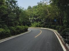 -广州市帽峰山景区