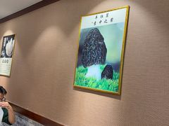 -菌之家·专业纯野生菌火锅·特色炒菌