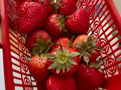 -甜心庄园·甜心草莓采摘园(西青中北店)