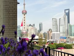 -上海和平饭店华懋阁 Cathay Room