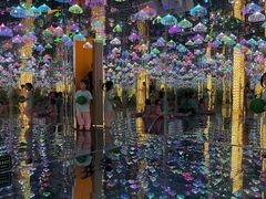 -深圳独角兽星空艺术馆