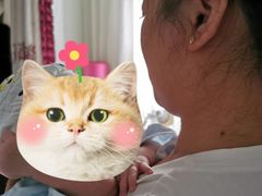 -田螺阿姨自营月嫂·育儿嫂(高新店)