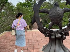-广东惠东海龟国家级自然保护区