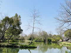 -西溪国家湿地公园