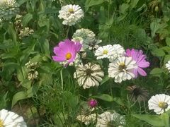 -沕沕水生态风景区