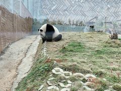 -泉州海丝野生动物世界