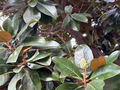 -北川羌城旅游区