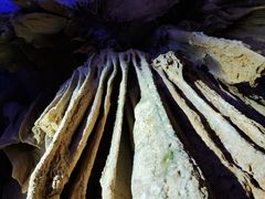 -灵栖洞天