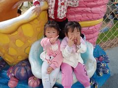 -海合安武汉极地海洋公园