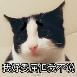 -成都苗方清颜专业祛痘