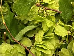 -终南山南五台景区