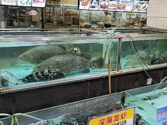 水产区-渔民新村(番禺总店)