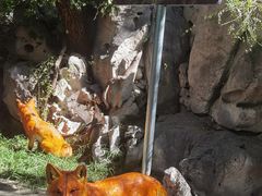 -淄博聊斋城景区