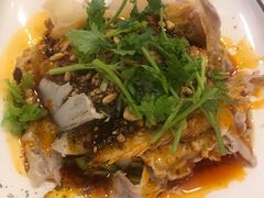 -圣厨牛腩(青春岛社区玉寿苑店)