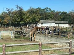-西安秦岭野生动物园