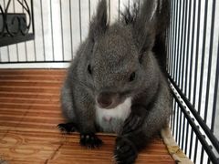 -浙江万里学院(钱湖校区)