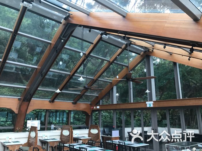 tai o lookout图片 - 第7张