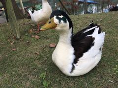 -国色天乡三期陆地乐园