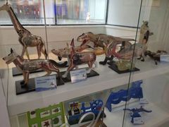 -斯坦星球AI编程·机器人科创·科学实验·信奥·思维·STEM·乐高·竞赛考级(长宁虹桥大融城荟聚中心)