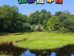 -重庆彩云湖湿地公园