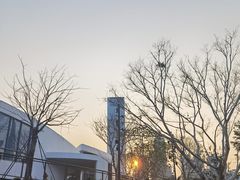 -柠檬树茶餐厅(海雅缤纷城店)