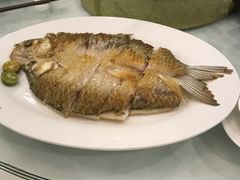 -金河半岛园林酒家(金融城店)