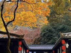 -杭州黄龙洞