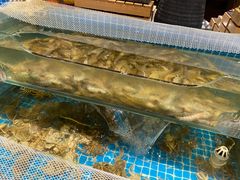 -以岭健康城·凯旋门大酒店-怡梦音乐西餐厅