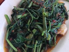 马来风光-德成饭店