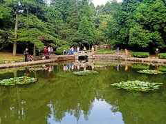 -庐山风景区花径公园