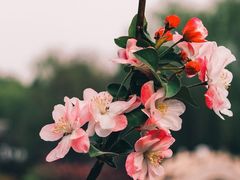 -莲池书院博物馆