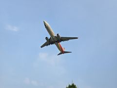 -中福百货(望京店)