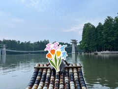 -东湖落雁景区